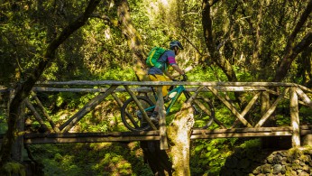 Mit dem MTB auf Teneriffa Mit dem MTB auf Teneriffa