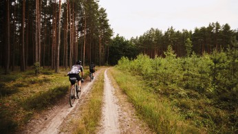 Rose Backroad & Backroad Cross 2019 Rose Backroad & Backroad Cross 2019