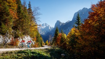 Altweibersommer im Salzkammergut Altweibersommer im Salzkammergut