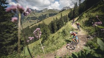 E-Bike Paradies Gstaad E-Bike Paradies Gstaad