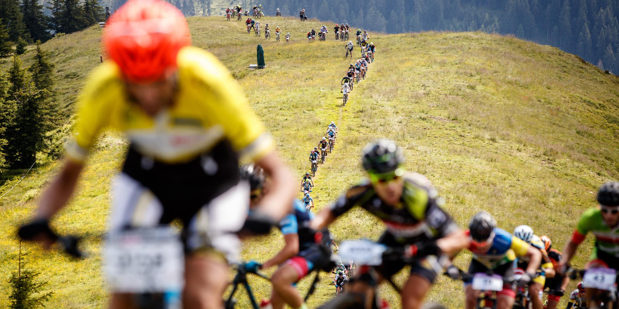 Metabolic-Tuning - Mikronährstoffe für mehr Leistung im Sport Metabolic-Tuning - Mikronährstoffe für mehr Leistung im Sport