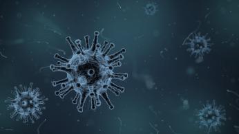 Coronavirus: Statement in eigener Sache Coronavirus: Statement in eigener Sache