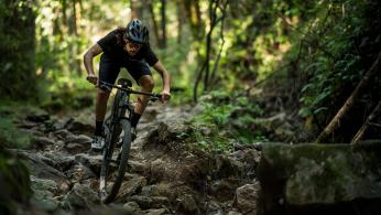Specialized Epic und Epic EVO 2021 Specialized Epic und Epic EVO 2021