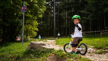 Wexl Trails bleiben geöffnet Wexl Trails bleiben geöffnet