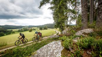 Rückkehr: Waldviertler Granittrail Rückkehr: Waldviertler Granittrail