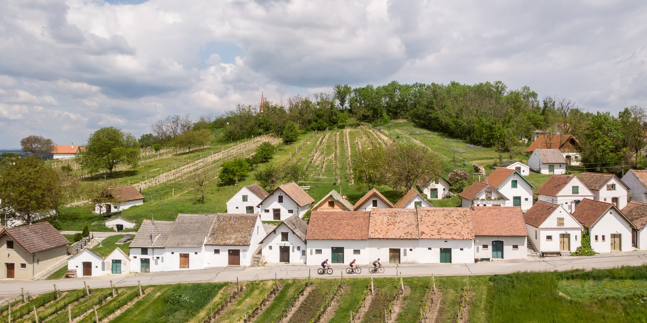 Rennradfahren im Weinviertel Rennradfahren im Weinviertel