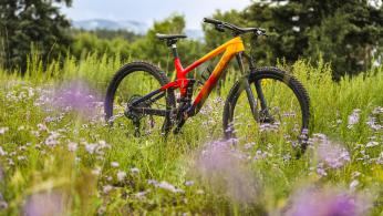 Trek Top Fuel 2022 Trek Top Fuel 2022